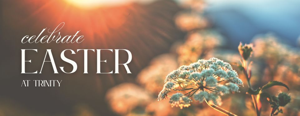 Easter 2025 Header for website